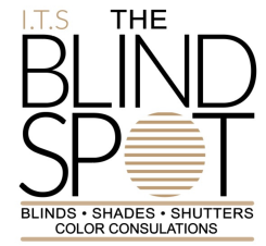 I.T.S The Blind Spot